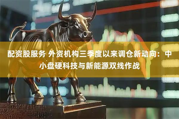 配资股服务 外资机构三季度以来调仓新动向：中小盘硬科技与新能源双线作战